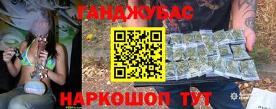 гидра Краснознаменск